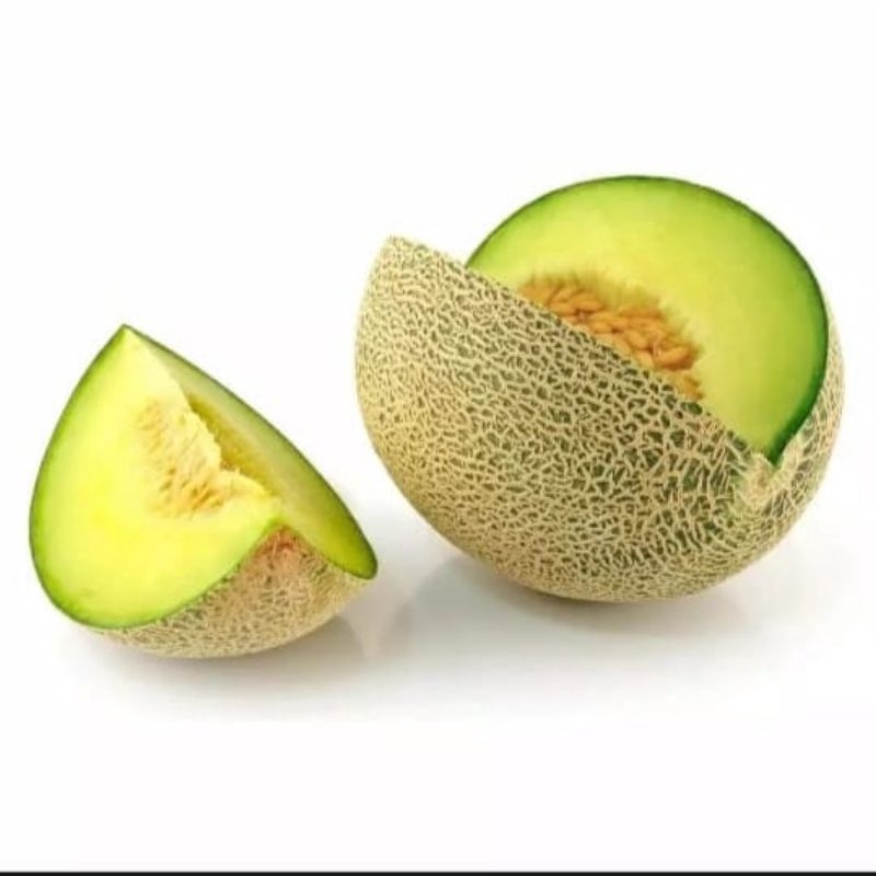 150+  BIBIT BENIH MELON MANIS MADU SUPER