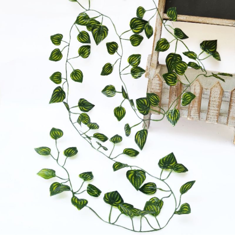 AL92 Daun Rambat 2m Anggur Lotus Sri Gading Peperomia Semangka Artificial Wedding Leaf