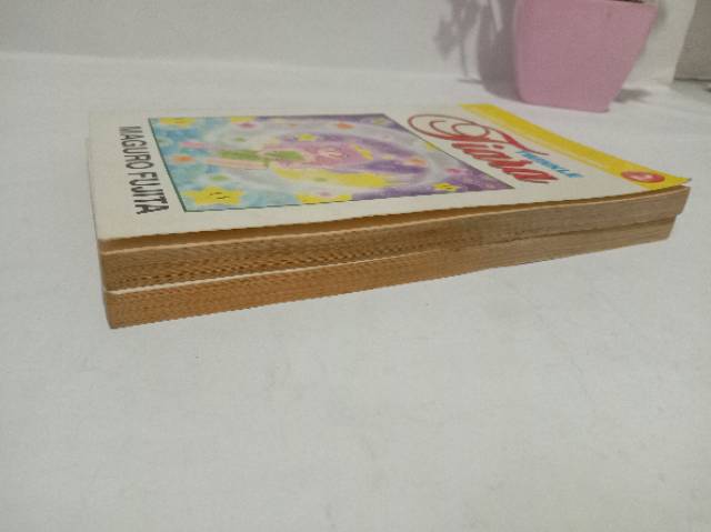 Twinkle tiara 1-2 end