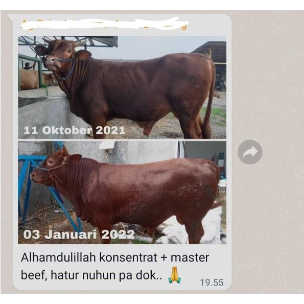 PREMIX SAPI MASTER BEEF 1 kg - Premix untuk penggemukan Sapi PREMIUM QUALITY