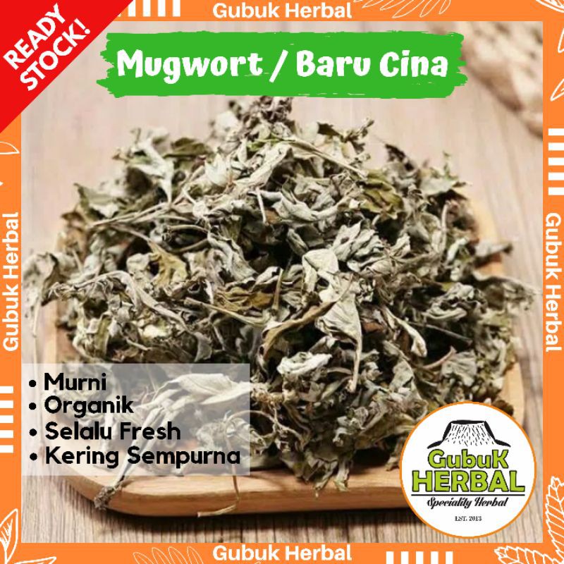 

MUGWORT DAUN BARU CINA KERING 100 GRAM - BARU CINA - Artemisia Vulgaris