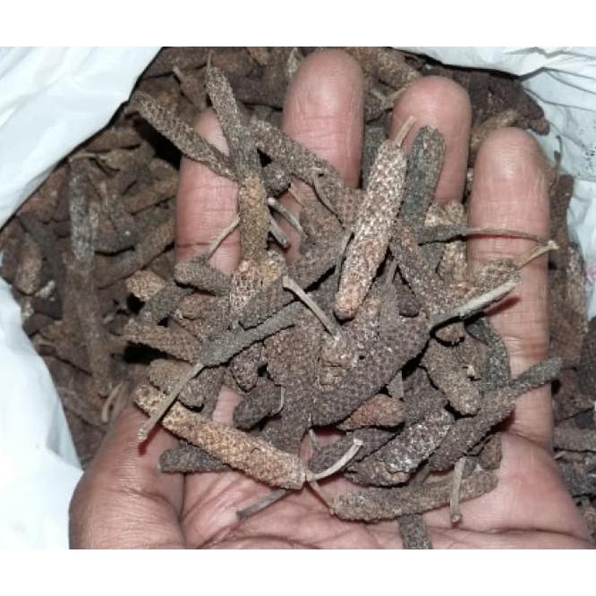 

Produk Unggulan Cabe Jawa Kering 1/2 Kg