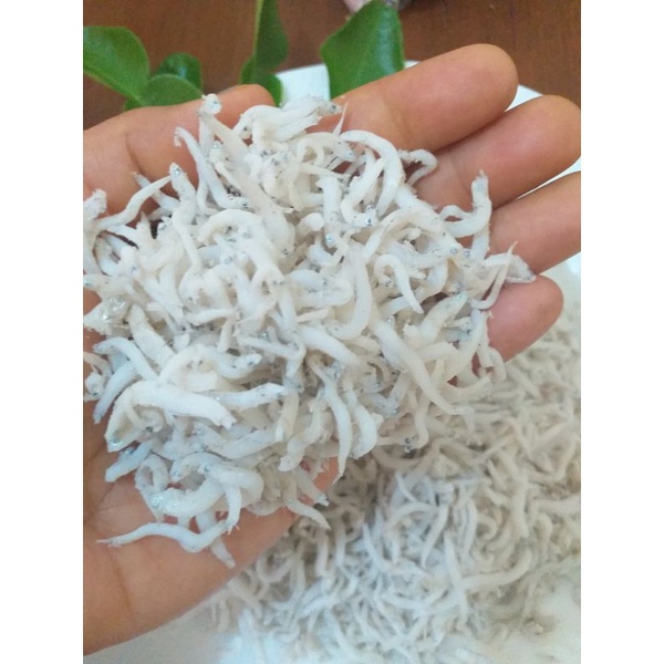 

Teri Medan , Teri Nasi Super