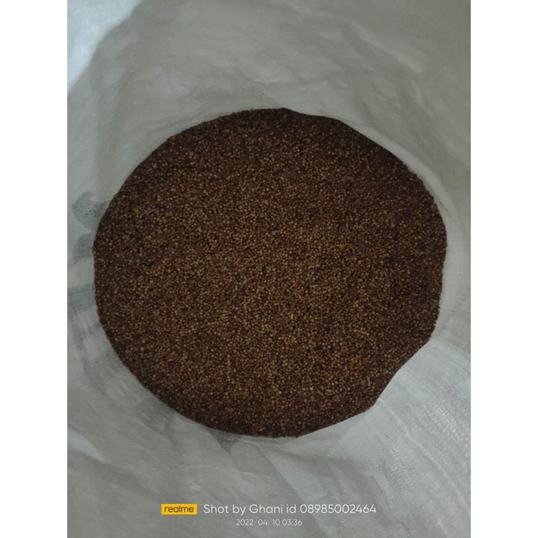 

Ketumbar hitam mulya 1kg