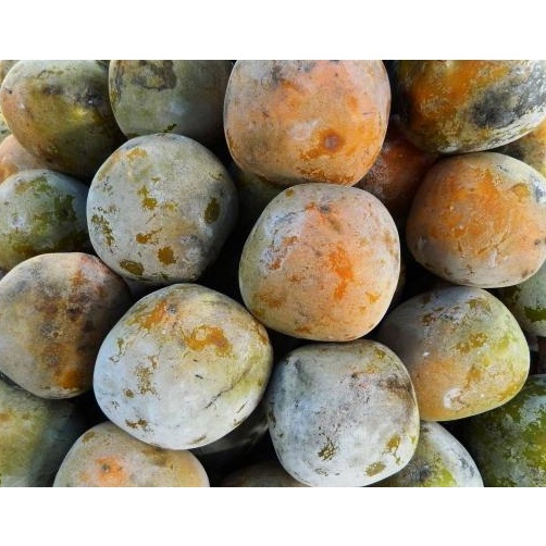 Buah kesemek lokal per 1 kg