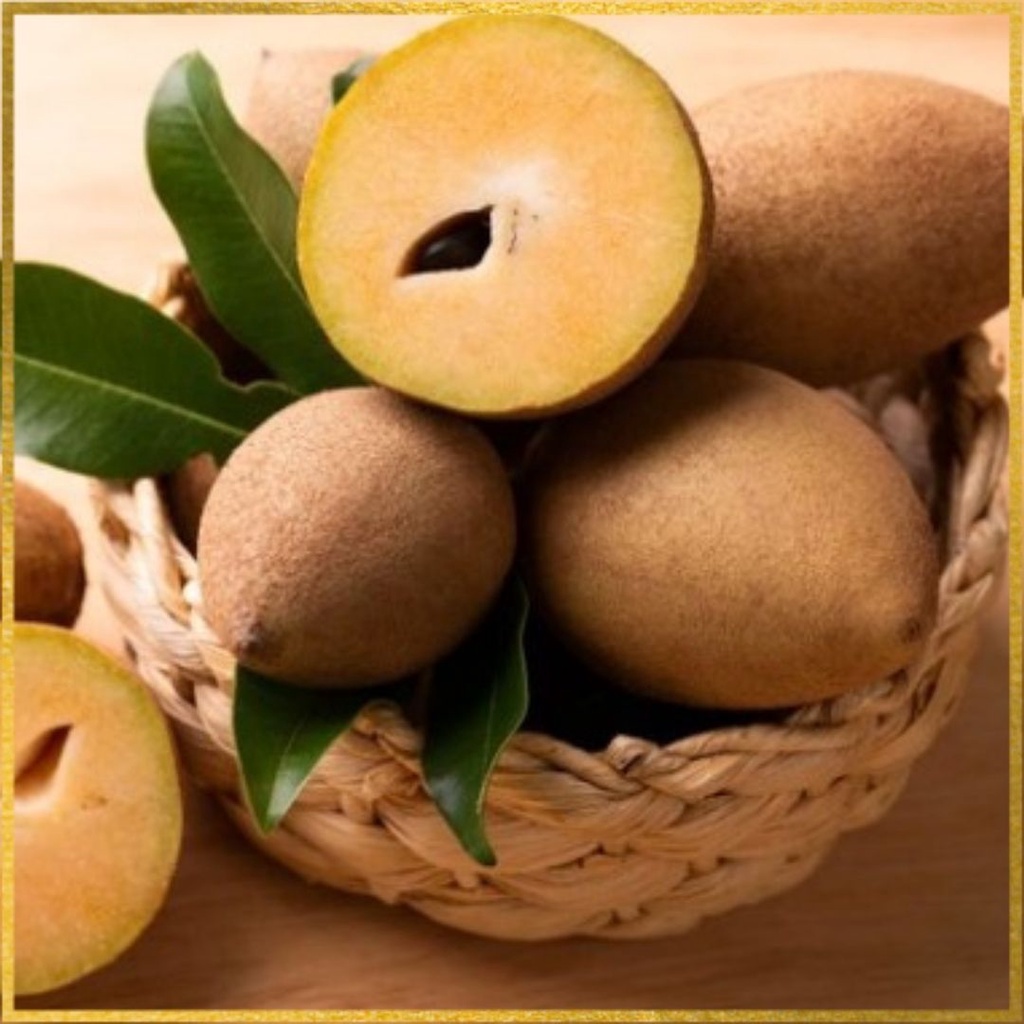 

Buah sawo muda pentil mentah segar 250 gram