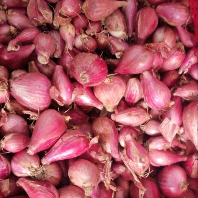 

Bawang merah brebes#bawang