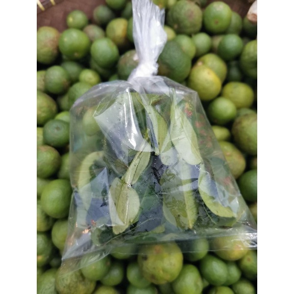 

Daun jeruk 1bks