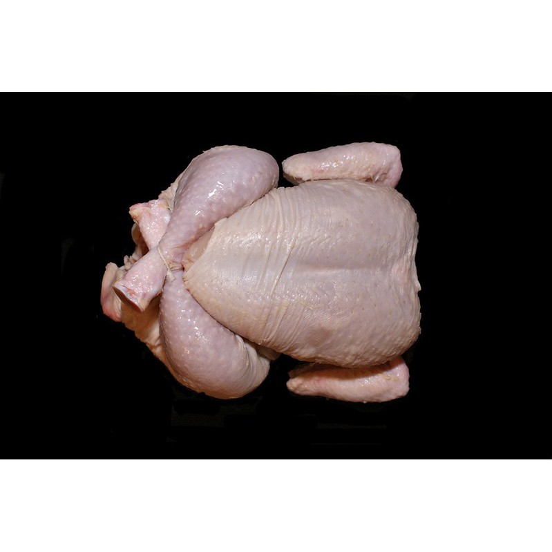 

Ayam Utuh 1 Karkas Potong Uk 8-10/800 - 1000 gram/kg/8 - 10 ons/Ayam Karkas/Ayam Broiler/Ayam Beku