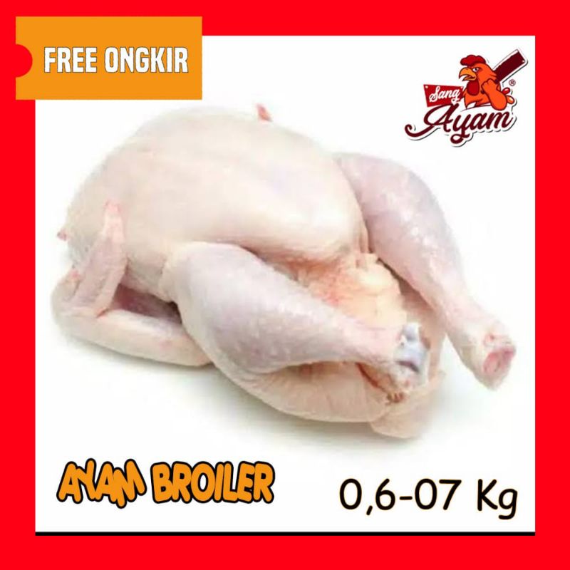 

ayam fresh