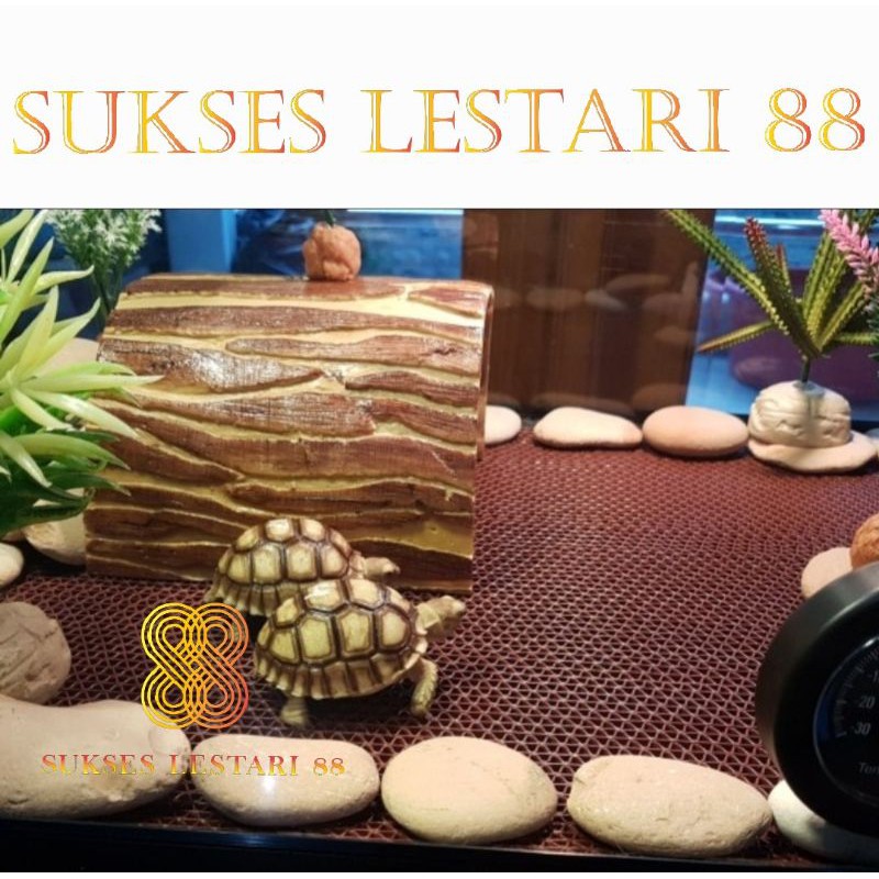 Anti Slip Alas Kandang Hewan Tortoise / Reptil 40 x 60