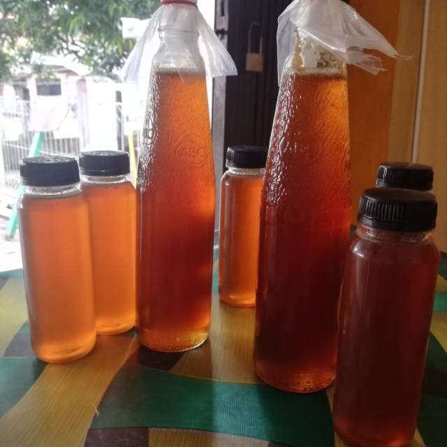 

Madu hutan asli Aceh