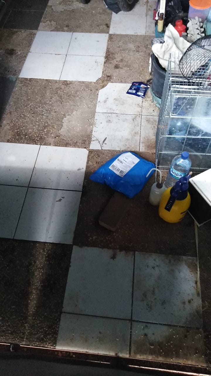 Tunik Pompom - Maxmara Jumbo Xxl Kancing Bumil Busui Ld110 Motif Batik Homey Muslim Murah Adem Kerah