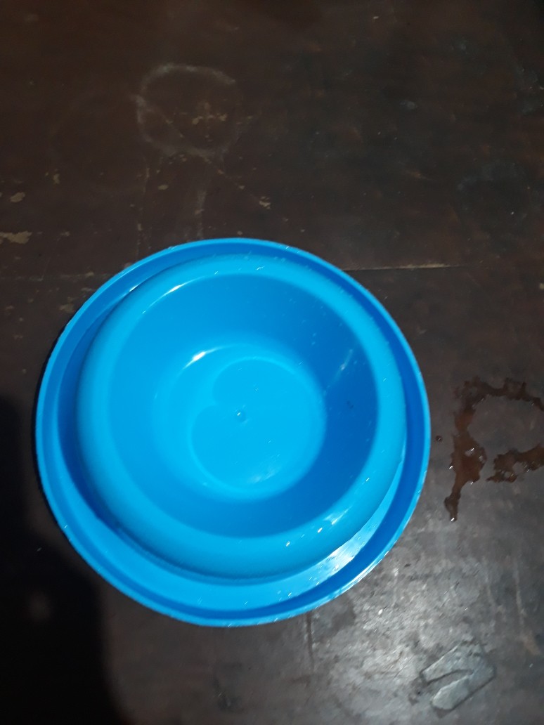 Tempat Makan Anti Semut Single T77