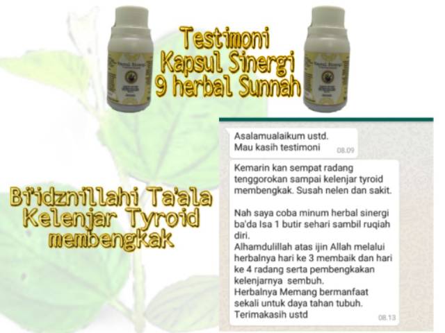 Kapsul Sinergi 9 Herbal Sunnah Shopee Indonesia