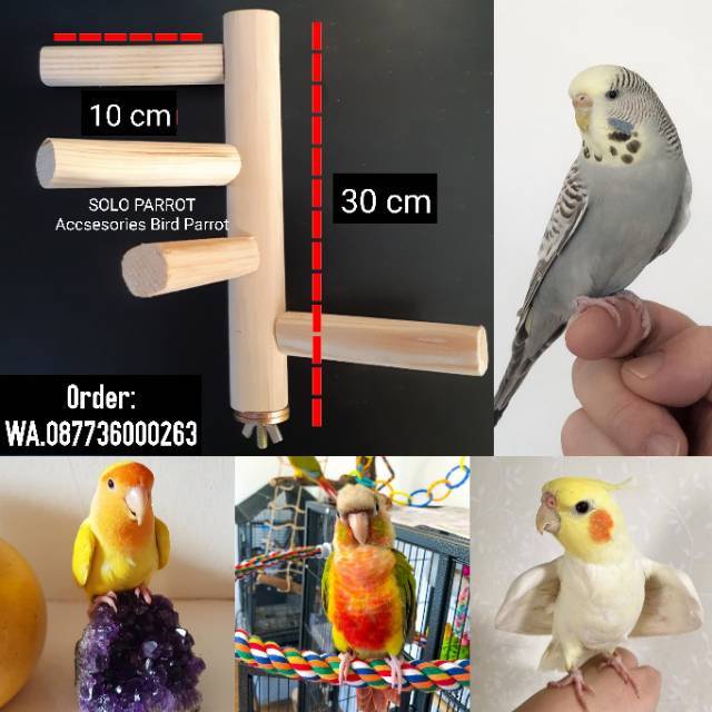 Mainan Burung Parrot Tangga Putar untuk Burung Parrot