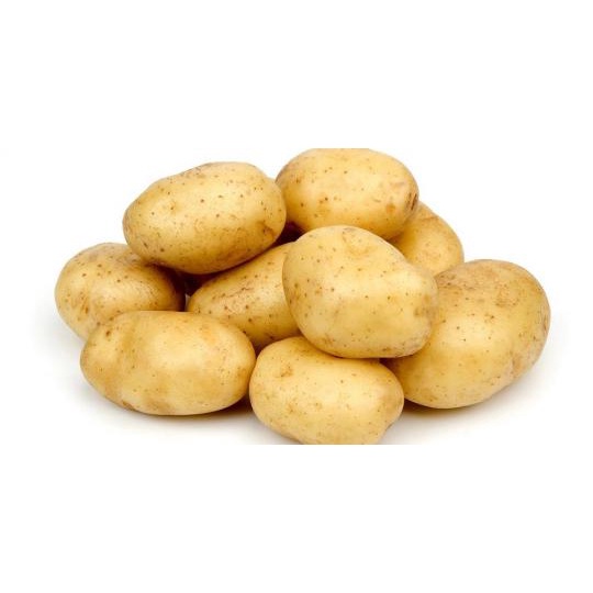 

KENTANG KUNING