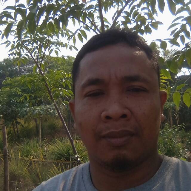 saryanto960
