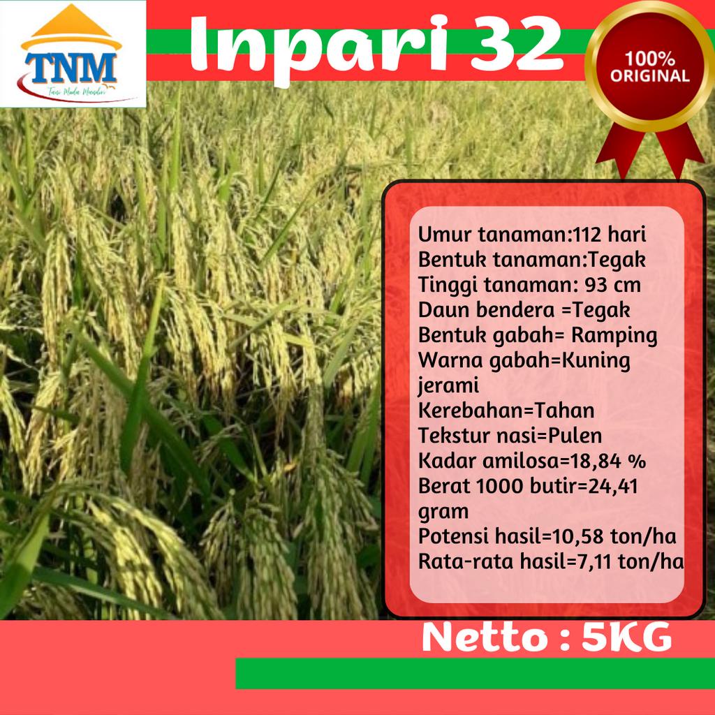 Beni Padi Inpari 32 Kemasan 5KG
