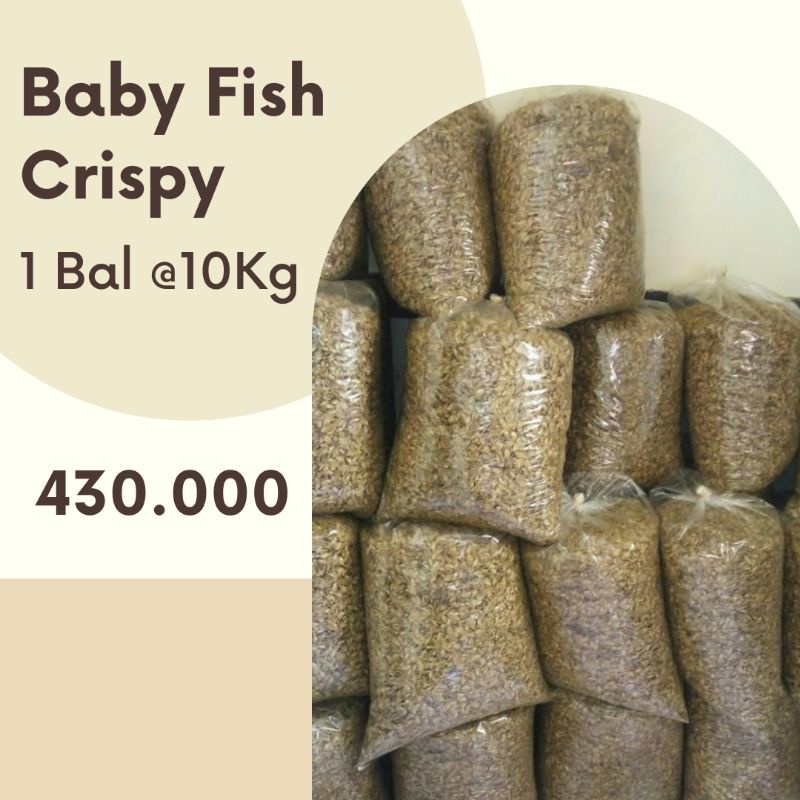 

Baby Fish | Baby Fish Crispy 10Kg | Baby Fish Ikan Nila Goreng Crispy 10Kg/Bal