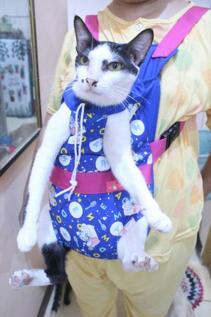 Gendongan kucing dan anjing motif doraemon / baju kucing murah size S M L XL