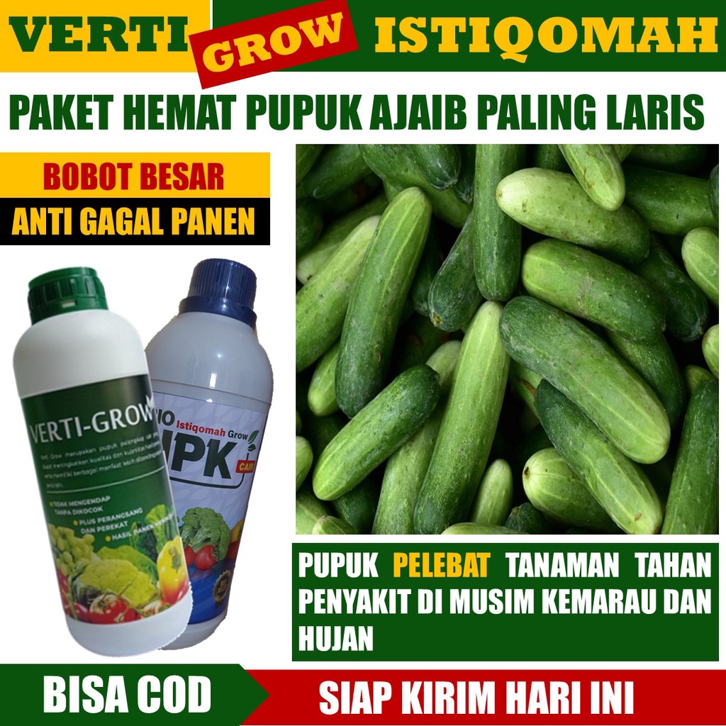 PAKET COD - 1 Botol Verti Grow & 1 Botol Istiqomah Grow 500 ML - Paket PUPUK PELEBAT Timun Ampuh di 