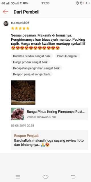 Bunga Pinus Kering Pinecones Rustic Strobilus kering Dried9