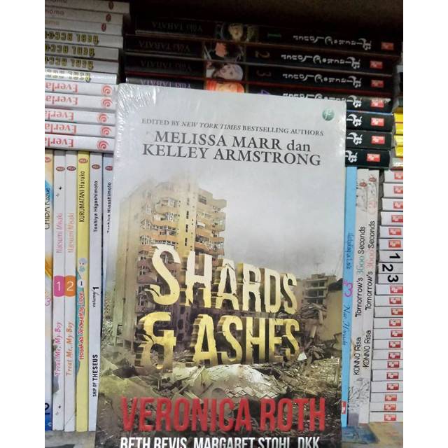 Novel Shards and Ashes