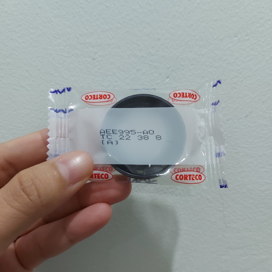 OIL Seal TC 22 38 8 NOK