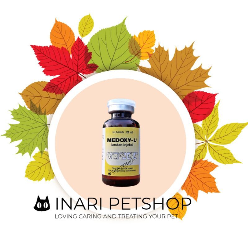 MEDOXY-L OBAT HEWAN MASTITIS BENGKAK INFEKSI BERNANAH KELINCI KUCING SAPI AMPUH 20 ML MEDOXY L