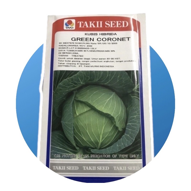 BENIH KUBIS HIBRIDA GREEN CORONET TAKII SEED ISI 20GR / BENIH KUBIS