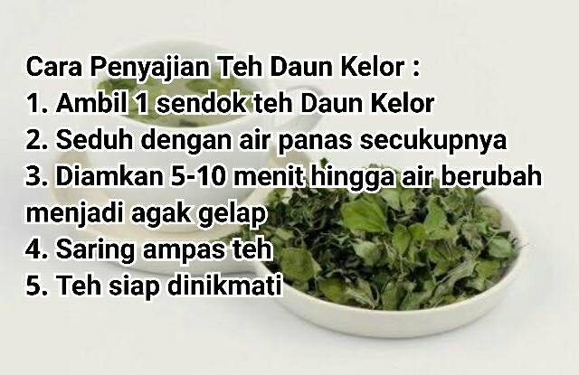 Ternyata Manfaat Teh Herbal Daun Kelor 
