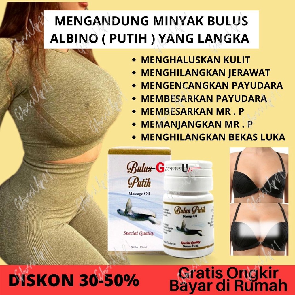 MINYAK BULUS - PEMBESAR PAYUDARA - KESEHATAN - Bulus Putih Massage Oil / Minyak Bulus BPOM Original