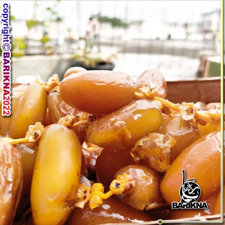 

[PRODUK FJNC8] Kurma Ruthob Libya 500gr S0F