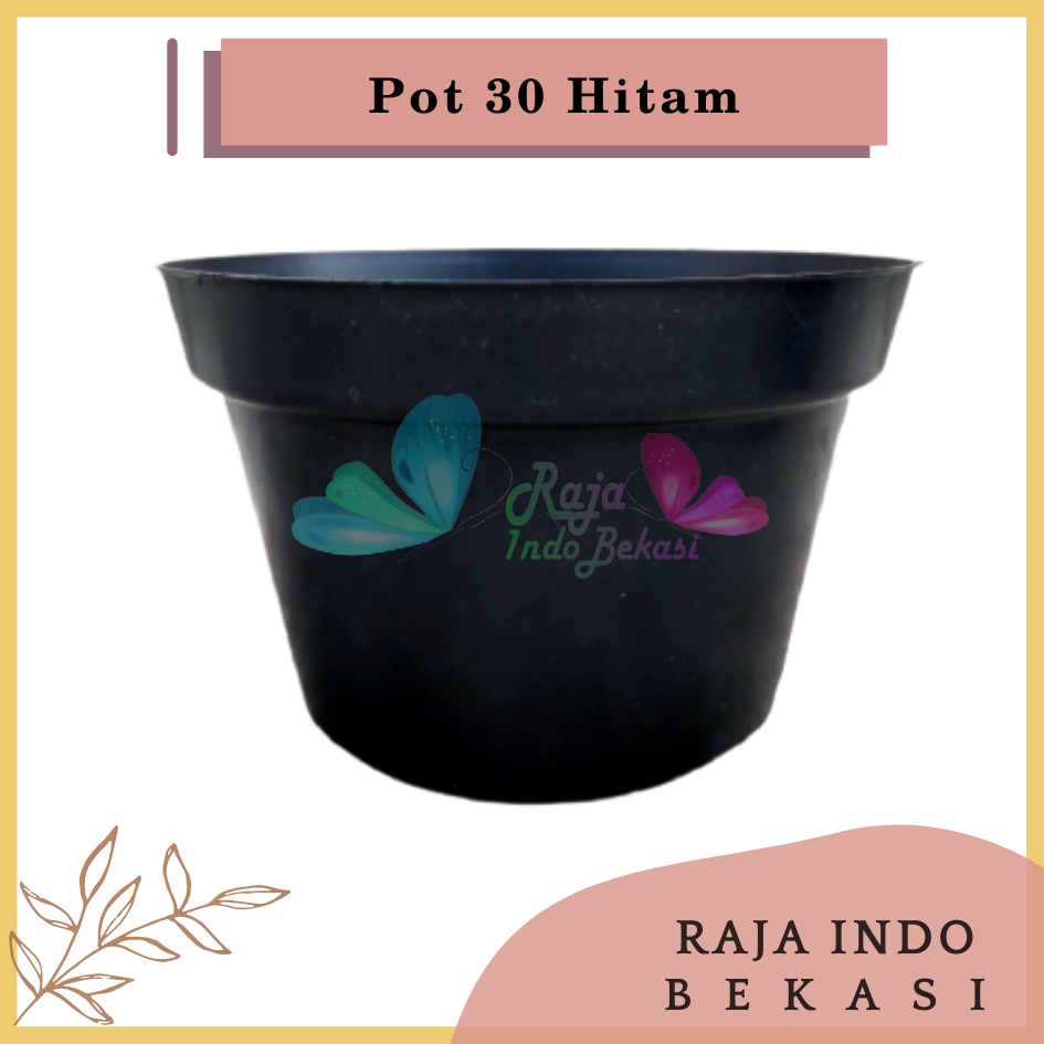 Pot 30 Putih Hitam Merah Bata Coklat Terraccota Terakota Polos Pot Bunga Pot 30 Murah Grosir Lusinan Pot 30 Putih Polos Murah Grosir