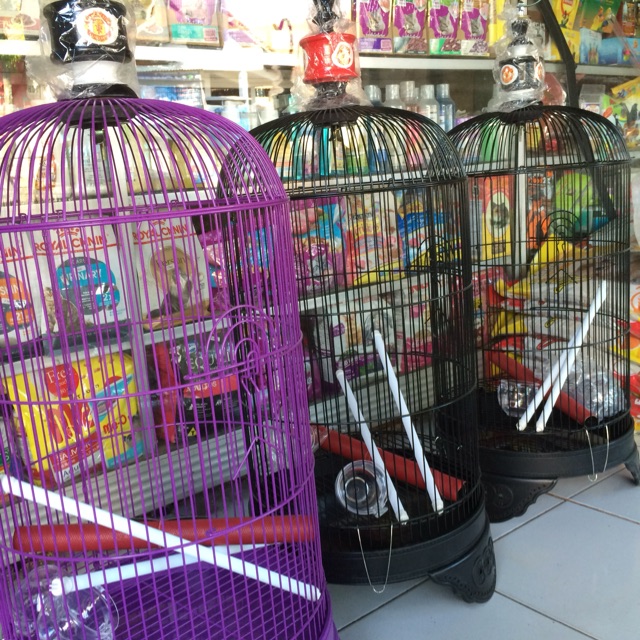 KANDANG KAPSUL LOVEBIRD DRAGON GO SEND