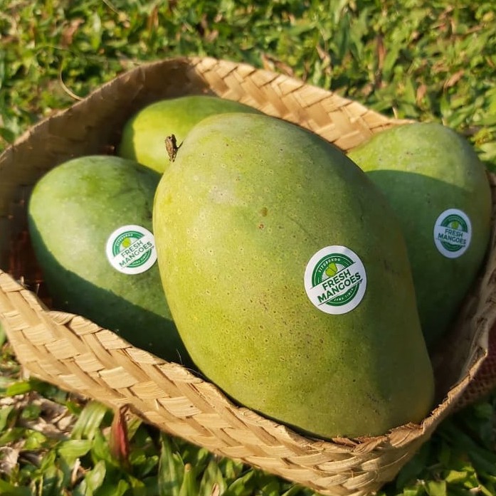

Mangga Alpukat/Mangga Arumanis 143 (Fresh Mangoes) - Grade Presiden (perdus berat 3kg an)
