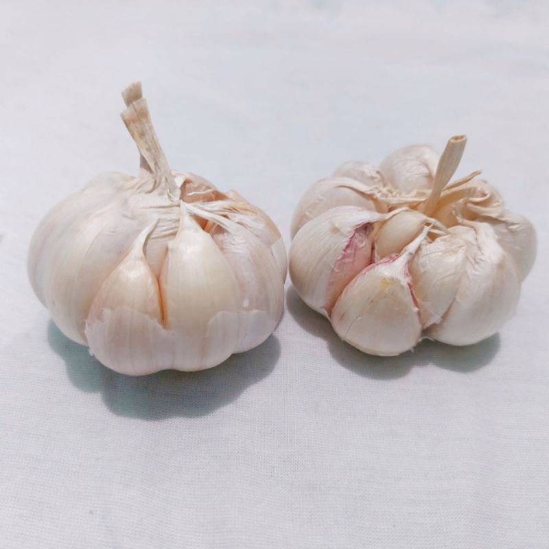 

Bawang Putih Honan 500 gram