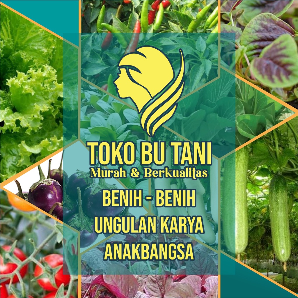 Jual Bibit Sayuran Benih Sayur Paket Lengkap Tanaman Hidroponik Kangkung Bayam Brokoli Cabe