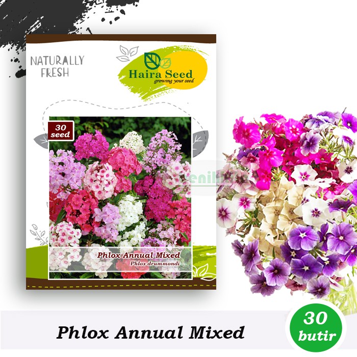 Benih-Bibit Bunga Phlox Annual Mix (Haira Seed)