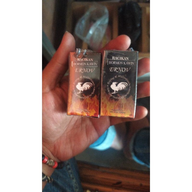 ERNOV HORMON KAWIN AYAM