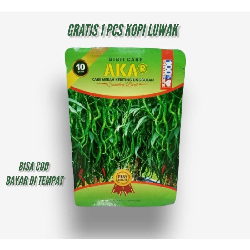 BENIH BIBIT CABAI CABE CMK AKAR ANTI VIRUS, BUAH LEBAT BERBOBOT TINGGI PALING UNGGUL