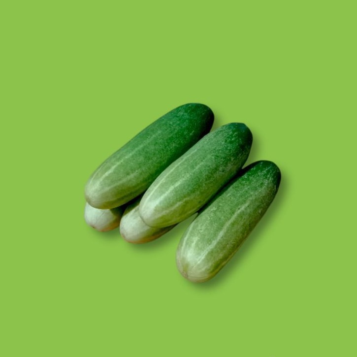

SegarDailly Timun Lalap 1kg/pack