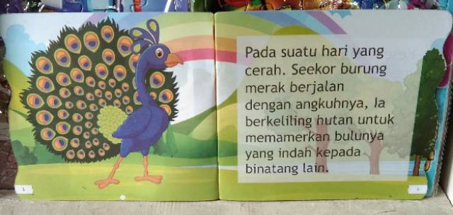 76 Gambar Burung Merak Anak Sd Gratis