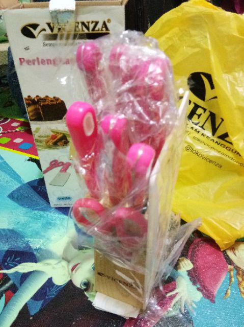 Pisau Set Vicenza V920k