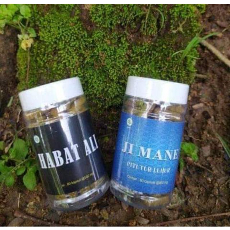 habat ali dan jiman pitutur luhur