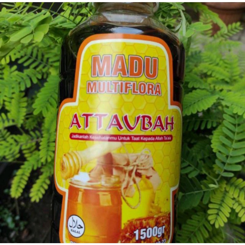 

Madu Multiflora 1500 Gram