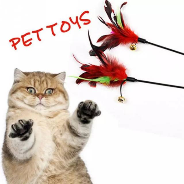 mainan kucing tongkat bulu angsa PET4106 Shopee Indonesia mainan kucing tongkat bulu angsa PET4106 Shopee Indonesia