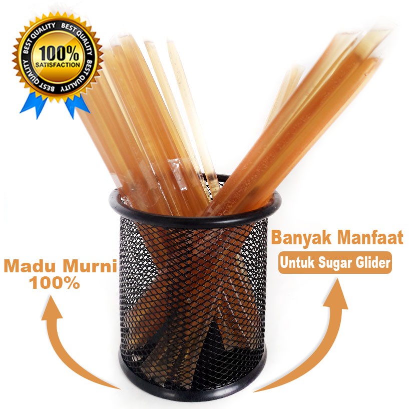 Honey Stick Madu untuk Belajar bonding menjinakkan sugar glider