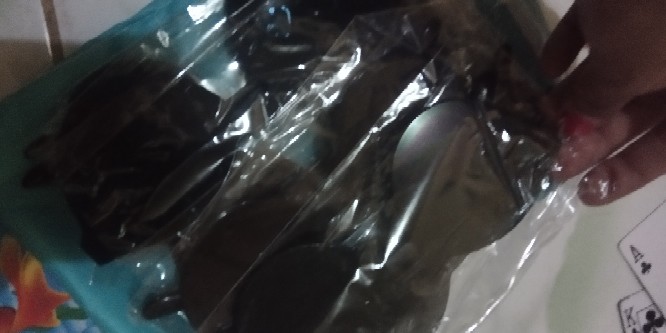 Elber Tempat Sikat Pasta Gigi Lady Bug Toothpaste Brush Organizer